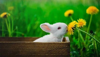 开云官网在线-摩纳哥后防线再添新分，球队稳扎稳打期待更上一层楼，摩纳哥球队是哪个国家