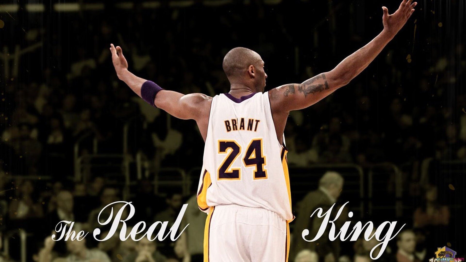 DOTA2青训体系现状：如何培养未来的DOTA2明星，dota2青年训练营